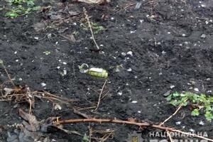 Поліцейські виявили в городі залишки від гранати Ф-1 і ще одну гранату, яка не вибухнула