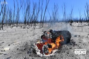 По состоянию на 6 января в результате пожаров в Австралии погибли 24 человека