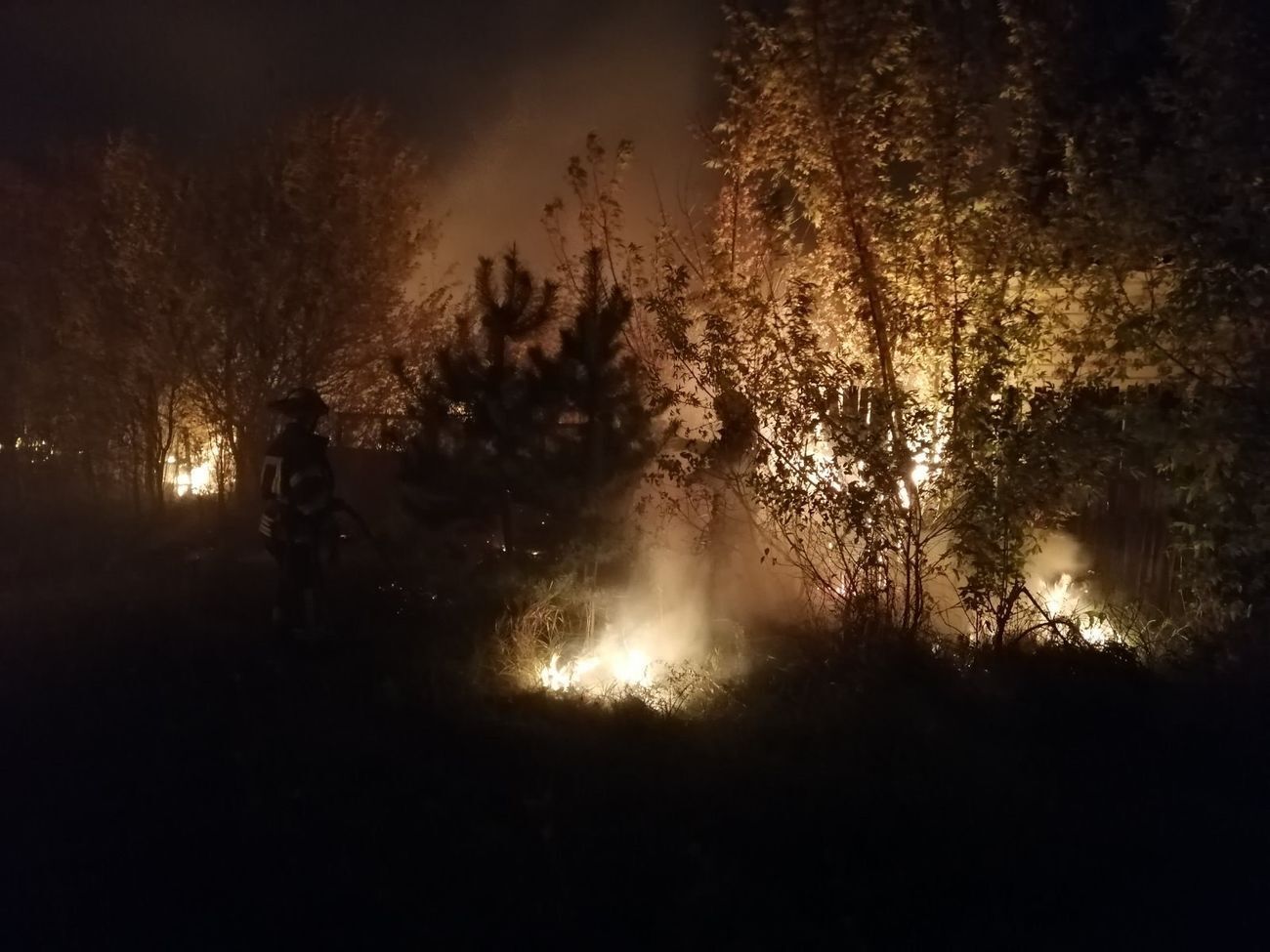 За фактом масштабних пожеж відкрили кримінальне провадження