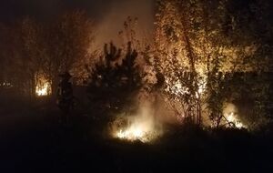 За фактом масштабних пожеж відкрили кримінальне провадження
