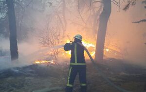 30 сентября в Луганской области возобновились лесные пожары