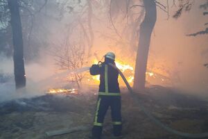 30 вересня в Луганській області поновилися лісові пожежі
