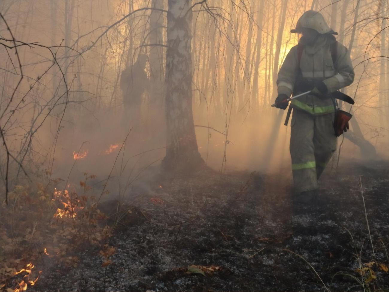 Пожары в Рязанской области тушили четыре дня