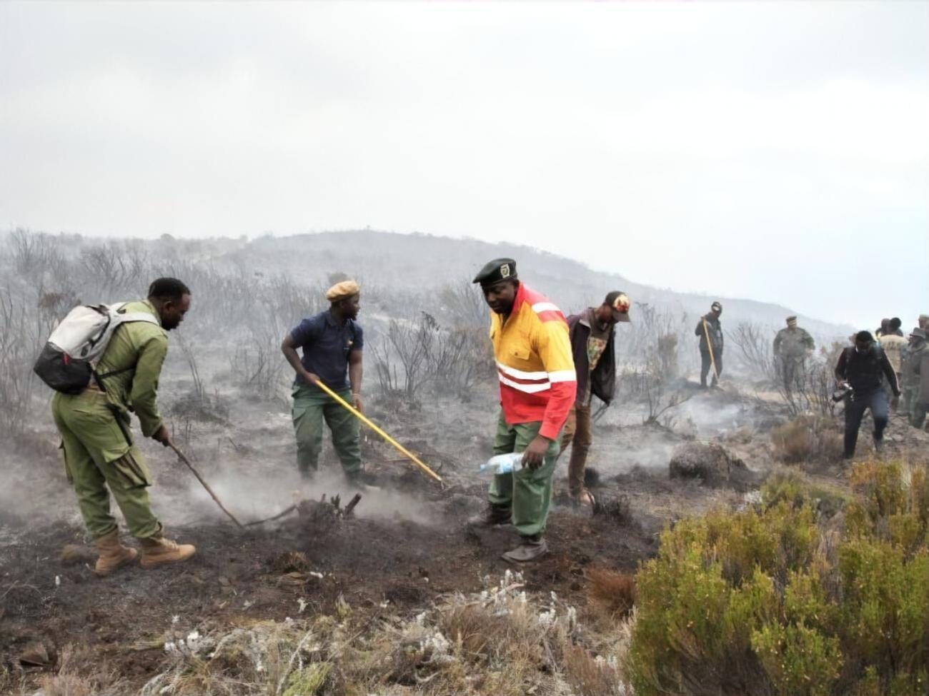Распространению огня способствуют ветер и сухая погода