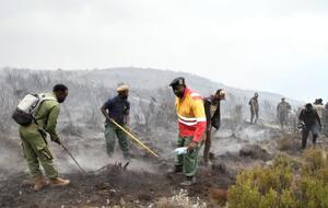 Распространению огня способствуют ветер и сухая погода