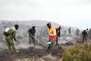 Поширенню вогню сприяють вітер і суха погода