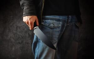 Полиция задержала злоумышленника