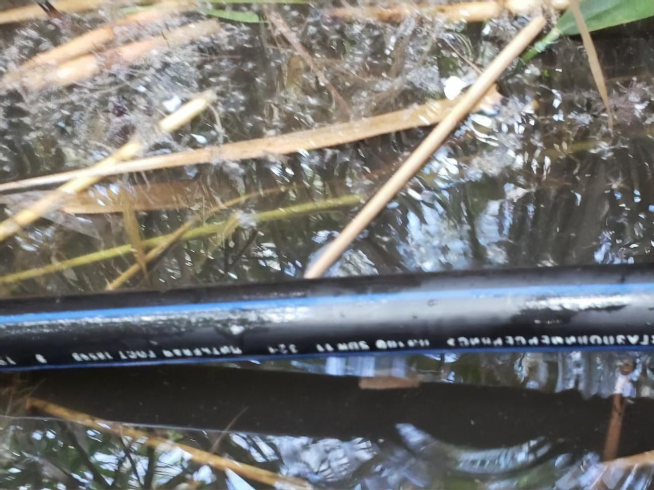 Подводный трубопровод был в камышах у берега Кучурганского водохранилища