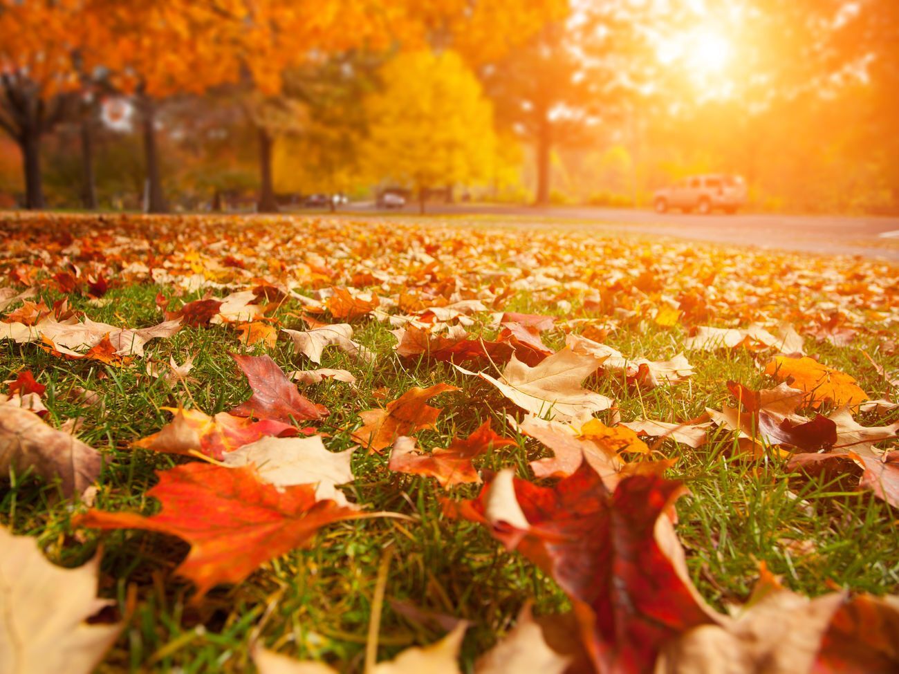 До этого метеорологическая осень в Киеве позднее всего наступала в 1999 году