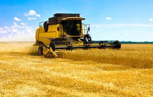 Рынок земли в Украине должен заработать с 1 июля 2021 года