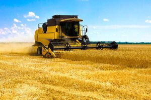 Рынок земли в Украине должен заработать с 1 июля 2021 года