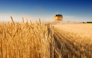 В Минэкономразвития заявили, что Украина может удвоить экспорт продовольствия