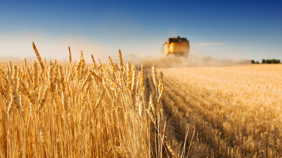 В Минэкономразвития заявили, что Украина может удвоить экспорт продовольствия