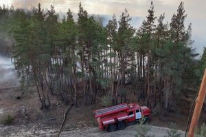У ДСНС України 8 жовтня повідомили, що ліквідували всі лісові пожежі в Луганській області