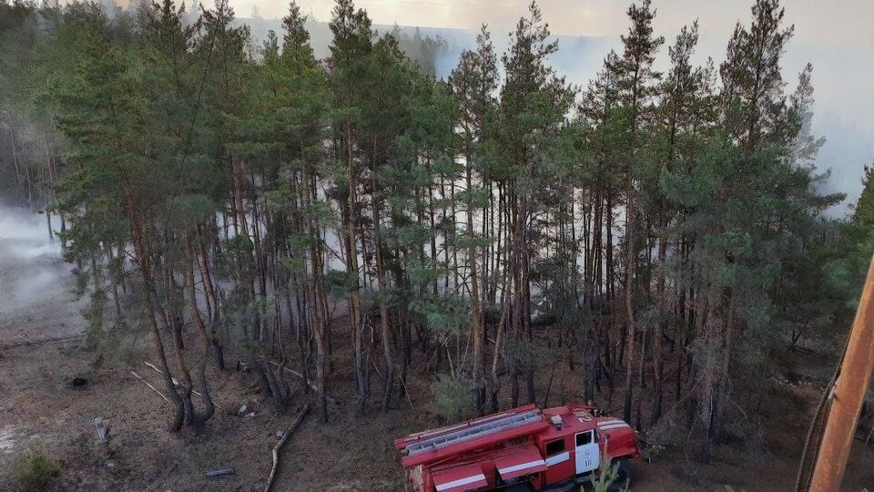 В ГСЧС Украины 8 октября сообщили, что ликвидировали все лесные пожары в Луганской области