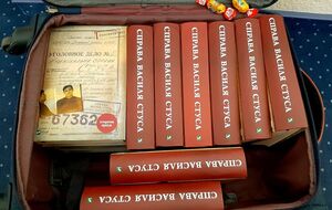 Рішення про заборону поширення книжки про Стуса суд ухвалив 19 жовтня