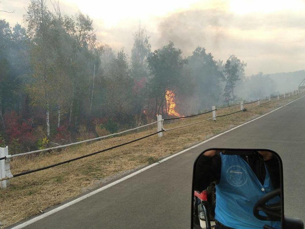 КПВВ "Станица Луганская" приостановил работу из-за лесных пожаров