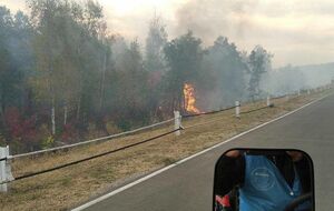 КПВВ "Станица Луганская" приостановил работу из-за лесных пожаров