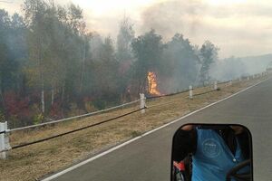КПВВ "Станиця Луганська" зупинив роботу через лісові пожежі