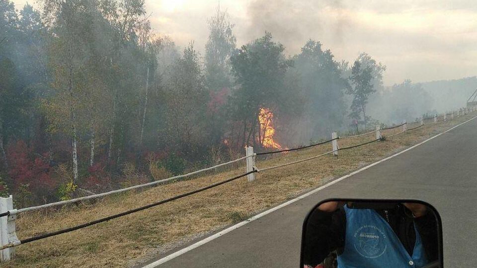 КПВВ "Станиця Луганська" зупинив роботу через лісові пожежі