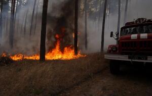 30 сентября в Луганской области вспыхнули масштабные лесные пожары