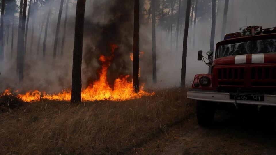 30 вересня в Луганській області спалахнули масштабні лісові пожежі