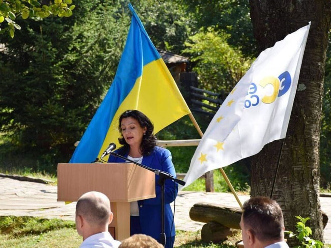 Климпуш-Цинцадзе обратилась к правоохранителям