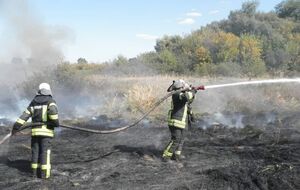 8 октября пожары были ликвидированы, заявляли в ГСЧС