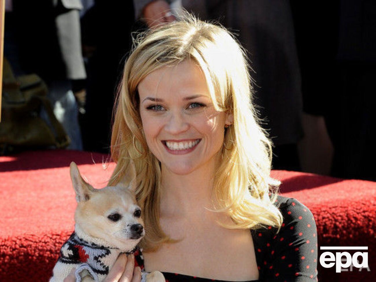 Роль Эль Вудс принесла актрисе Уизерспун всемирную известность