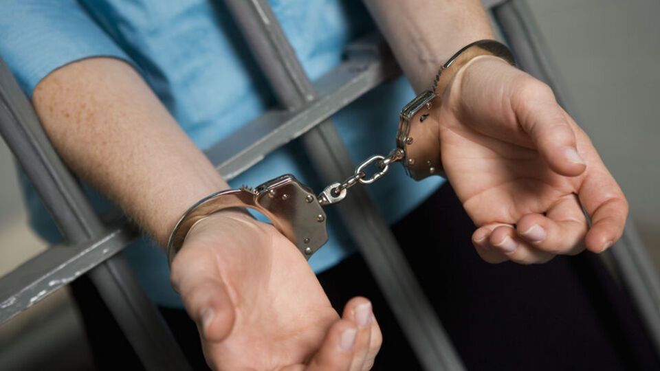 Зловмисникам загрожує позбавлення волі на строк від семи до 12 років
