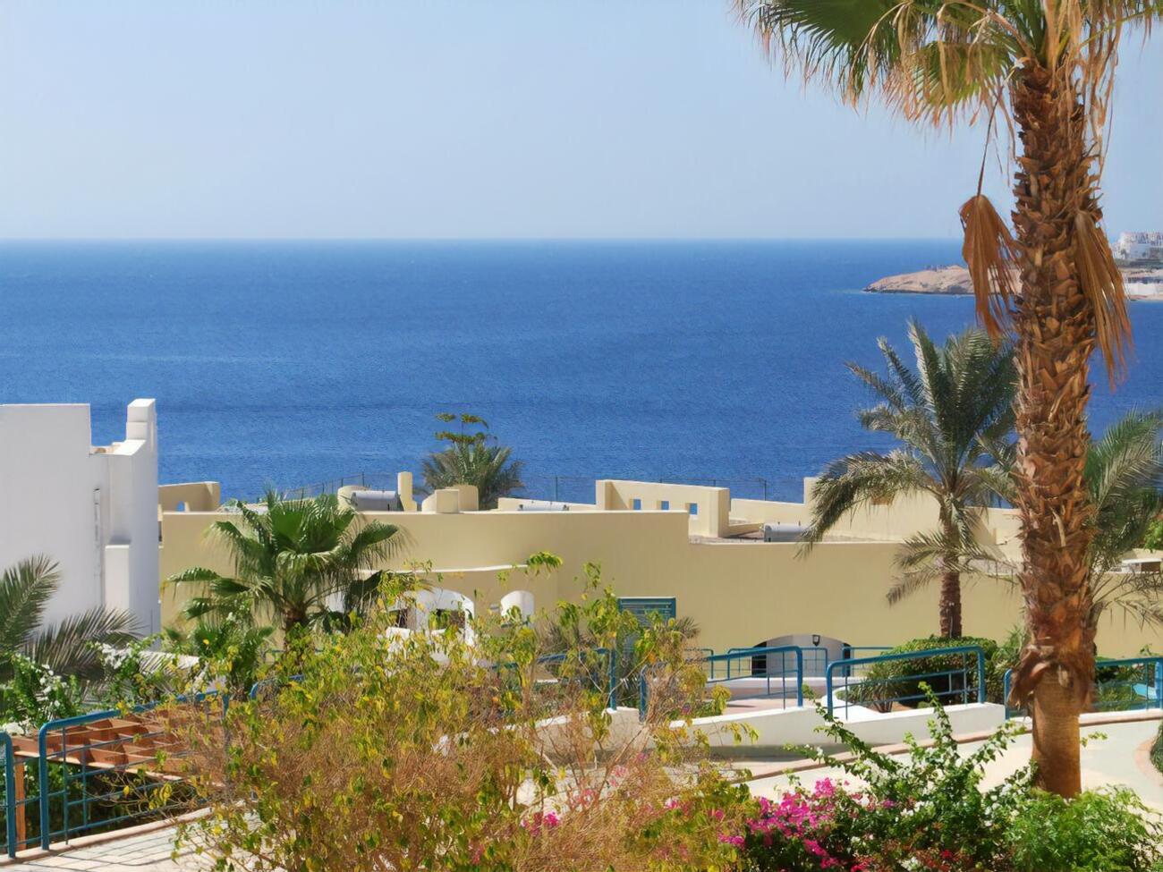 Посольство Украины на связи с родными пострадавших от нападения акулы в Египте