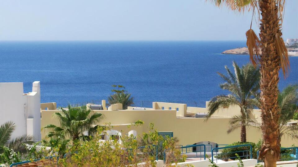 Посольство України на зв'язку з родичами потерпілих від нападу акули в Єгипті