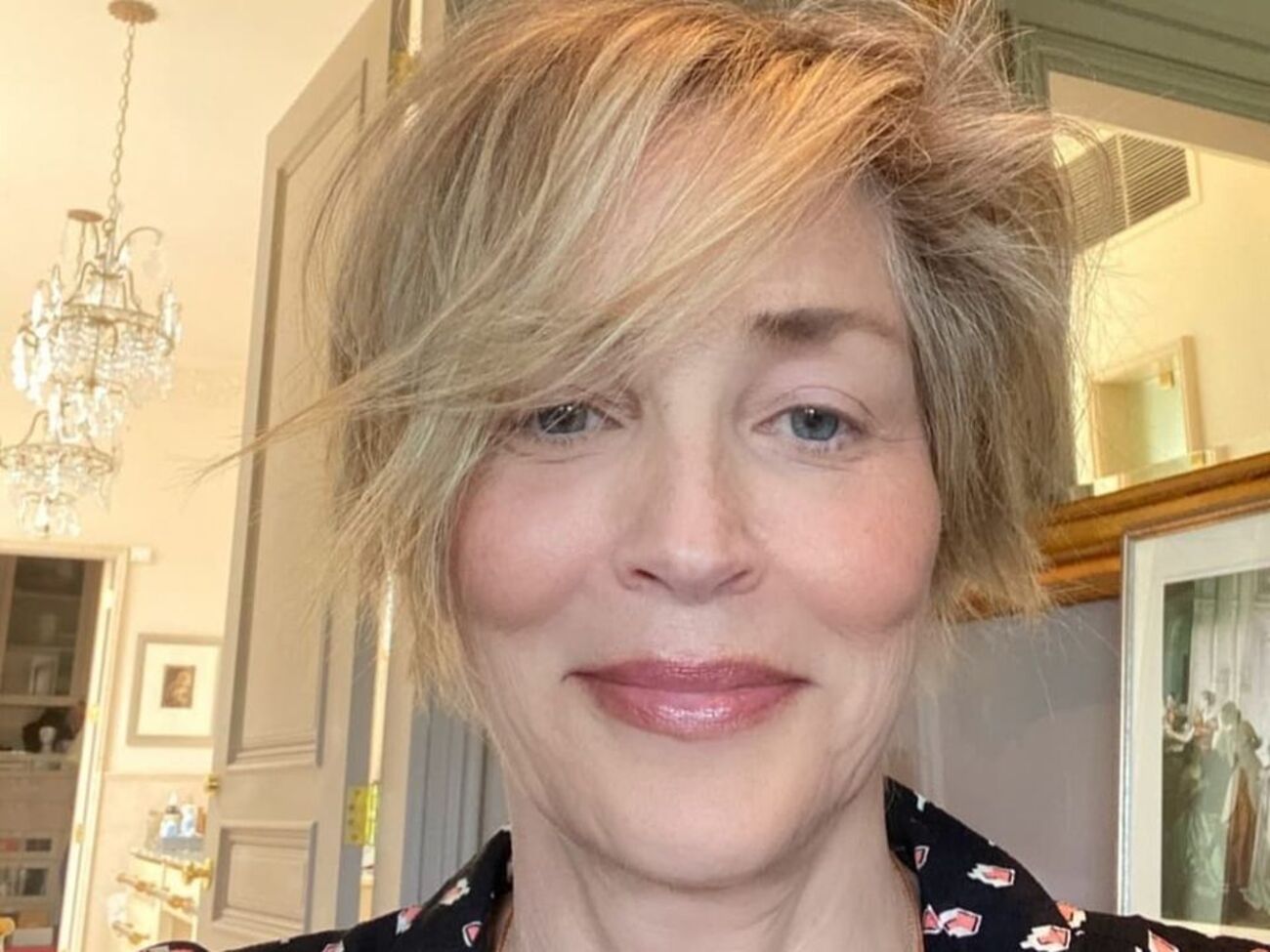 Стоун стала знаменитой благодаря фильму "Основной инстинкт"