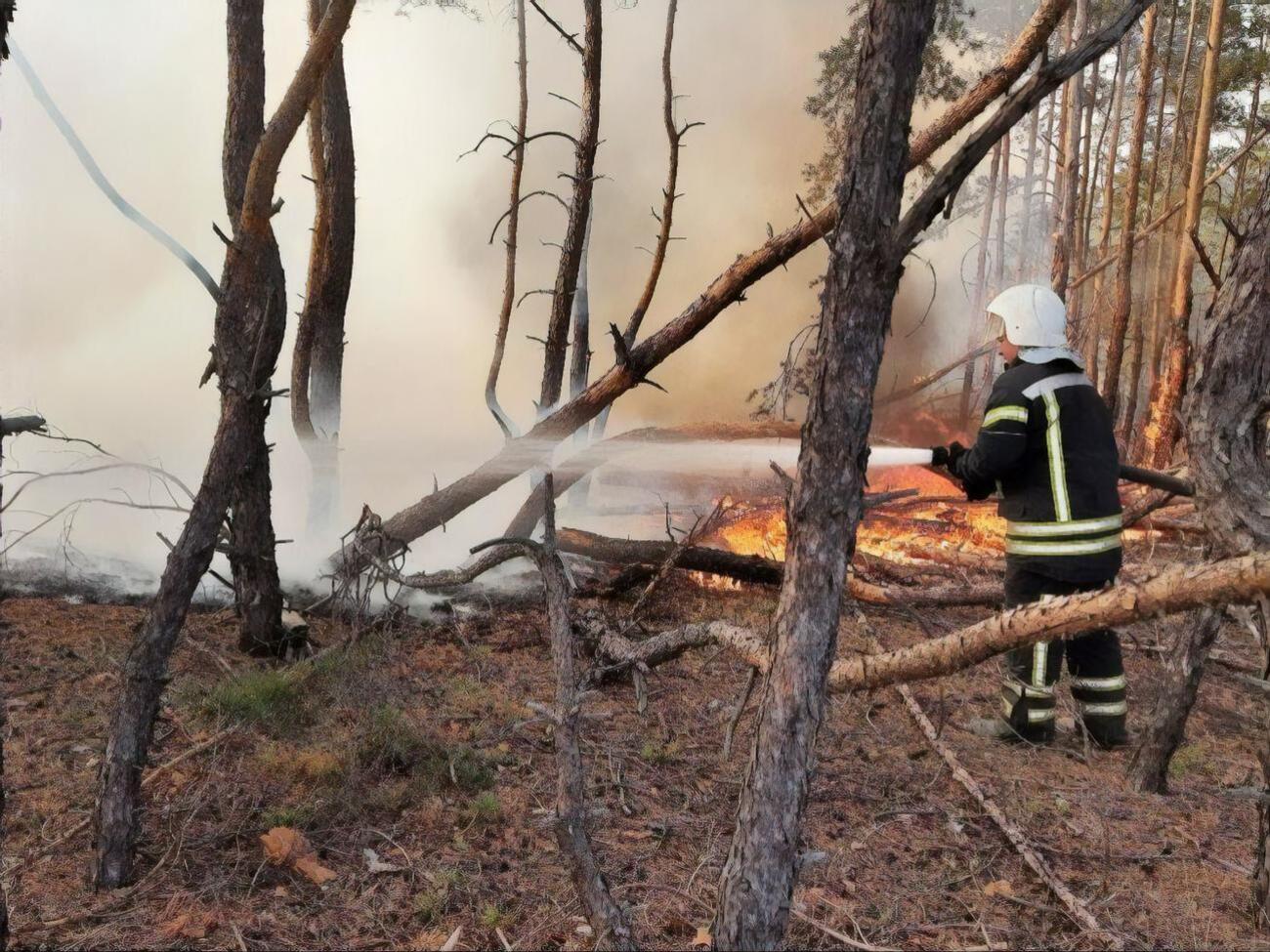 Пожарные продолжают бороться с огнем в районе села Смоляниново