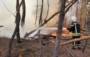 Пожарные продолжают бороться с огнем в районе села Смоляниново