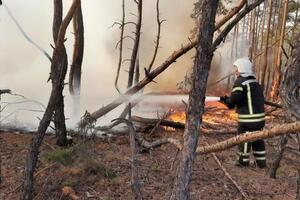 Пожежники і далі борються з вогнем у районі села Смолянинове