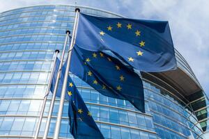 В Европарламенте заявили, что некоторые члены "Слуги народа" распространяют кремлевскую дезинформацию