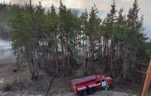 К ликвидации пожаров ГСЧС привлекла 717 человек и 109 единиц техники