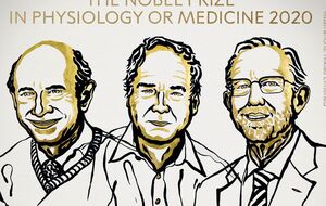 Науковці Гарві Альтер, Майкл Гоутон і Чарльз Райс вели дослідження незалежно один від одного, але займалися однією спільною справою – виявленням вірусу, який викликає небезпечне захворювання гепатит С