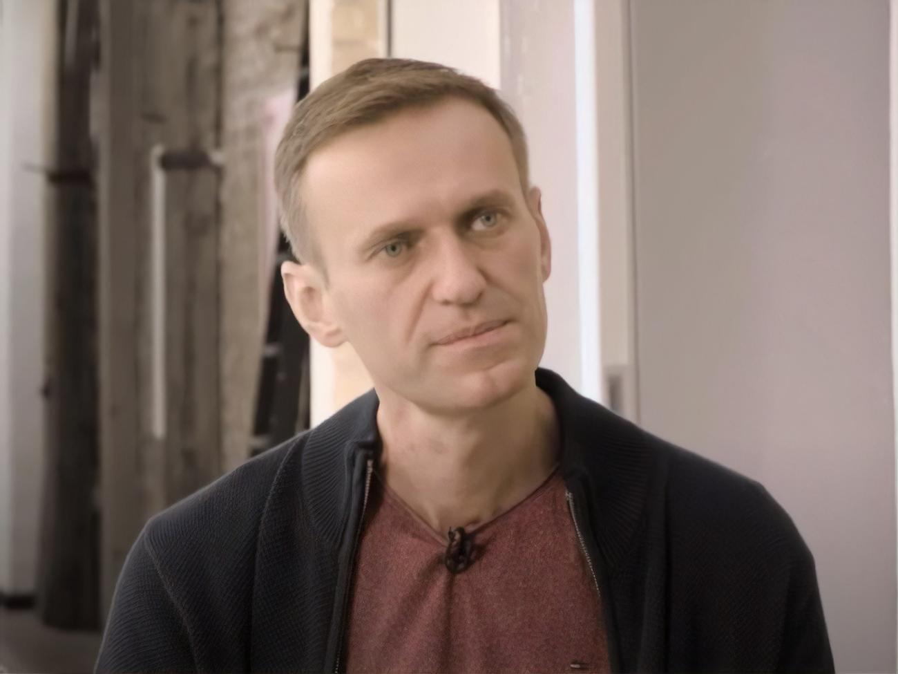 Навальний: Меркель дуже добре розуміє, як у нас усе влаштовано