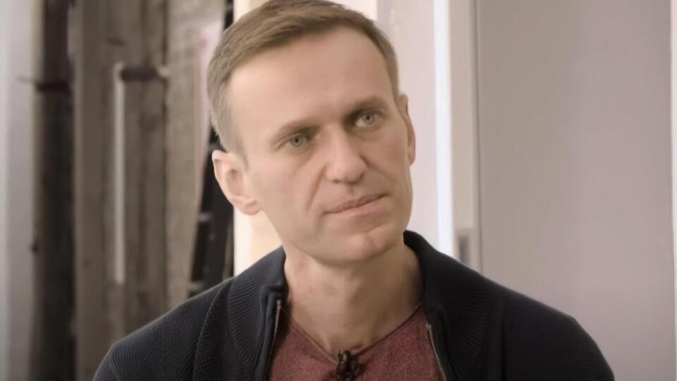 Навальный: Меркель очень хорошо понимает, как у нас все устроено
