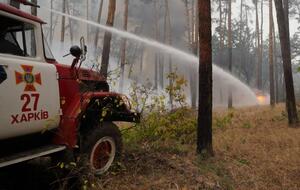 Площадь, пройденная огнем, составляет более 20 тыс. га