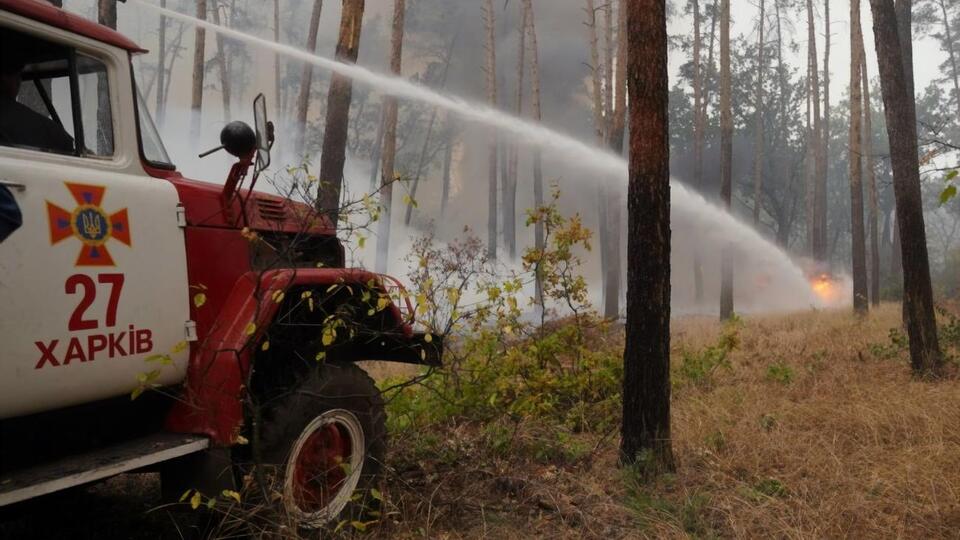 Площадь, пройденная огнем, составляет более 20 тыс. га