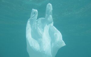 Ученые обнаружили в 25 раз больше пластика в глубоководных слоях, чем все предыдущие исследователи