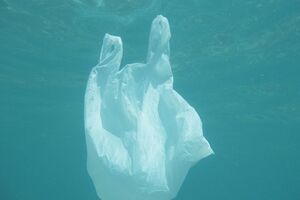 Ученые обнаружили в 25 раз больше пластика в глубоководных слоях, чем все предыдущие исследователи