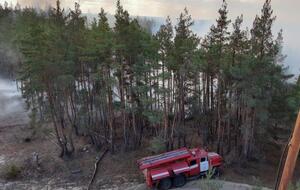Массовые возгорания лесной подстилки и травы в Луганской области начались 30 сентября
