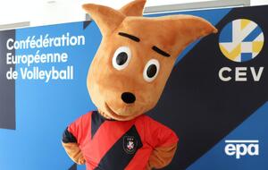 Решение приняла Европейская конфедерация волейбола