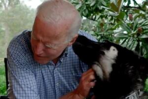 Мейджора Байден взял из приюта в 2018 году
