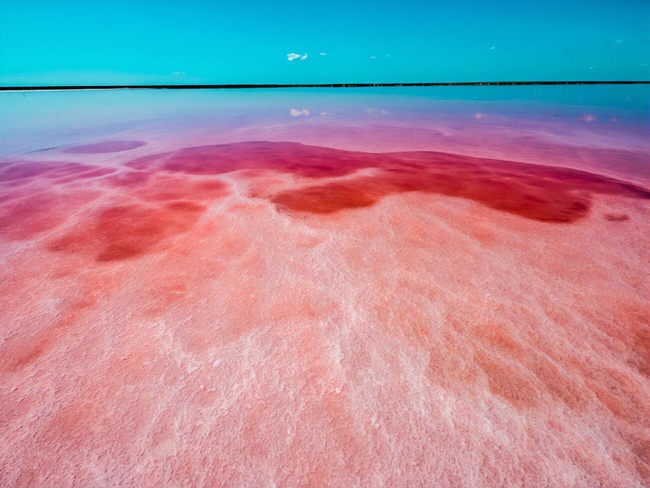 Рожеве озеро потрапило до п'ятірки запитів серед природних парків і заповідних зон