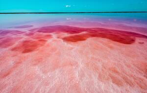 Рожеве озеро потрапило до п'ятірки запитів серед природних парків і заповідних зон